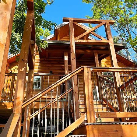 Cricket Hill Treehouse By Amish Country Lodging Millersburg Eksteriør bilde