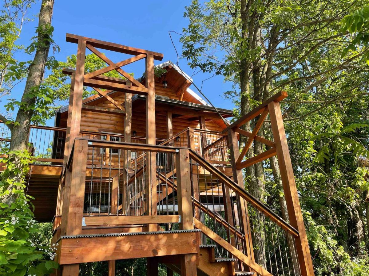 Cricket Hill Treehouse By Amish Country Lodging Millersburg Eksteriør bilde